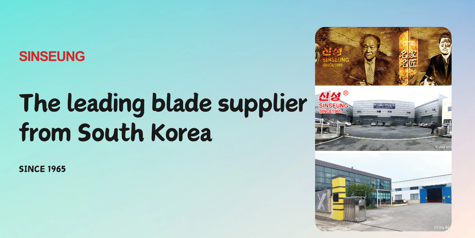 qualità Scele da taglio da 9 mm fabbrica