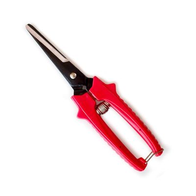 Multi-tasking Piccolo giardino potatura Snips rettangolare fiorista forbici forbici
