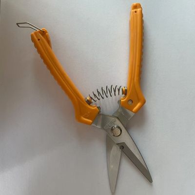 Forbici Ergonomiche da Ufficio con Blister