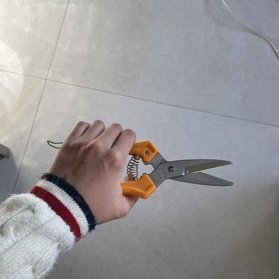 Forbici da taglio arancioni da 200 mm per filo, tessuto, plastica e pelle