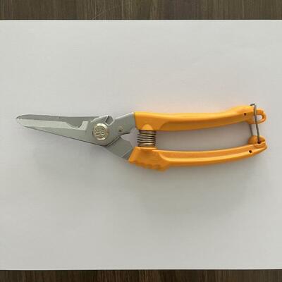 Forbici di precisione per piante da interno con lama da 8 cm per misurazioni accurate
