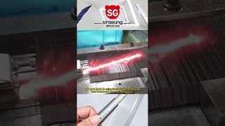 260109 1 VIDEO SINGOLO