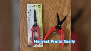 Cesoie per raccolta frutta SK5 Acciaio