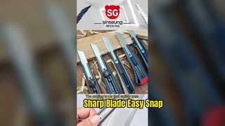 260114-1 VIDEO SINSEUNG