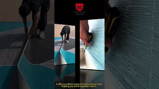 260109 2 VIDEO SINGOLI