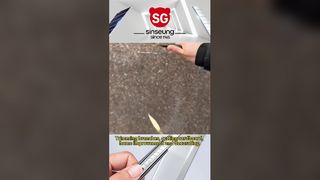 260113-3 VIDEO SINSEUNG